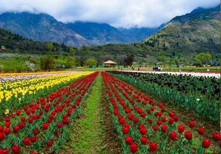 Delhi to Kashmir and Gulmarg Winter Adventure